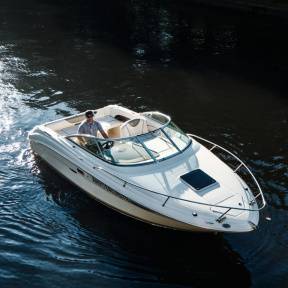 Прокат катера Sea Ray 225 с капитаном (1 час)