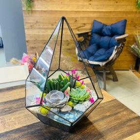 Флорариум с суккулентами Капля М 30 см 