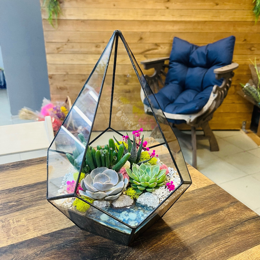 Флорариум с суккулентами Капля М 30 см 