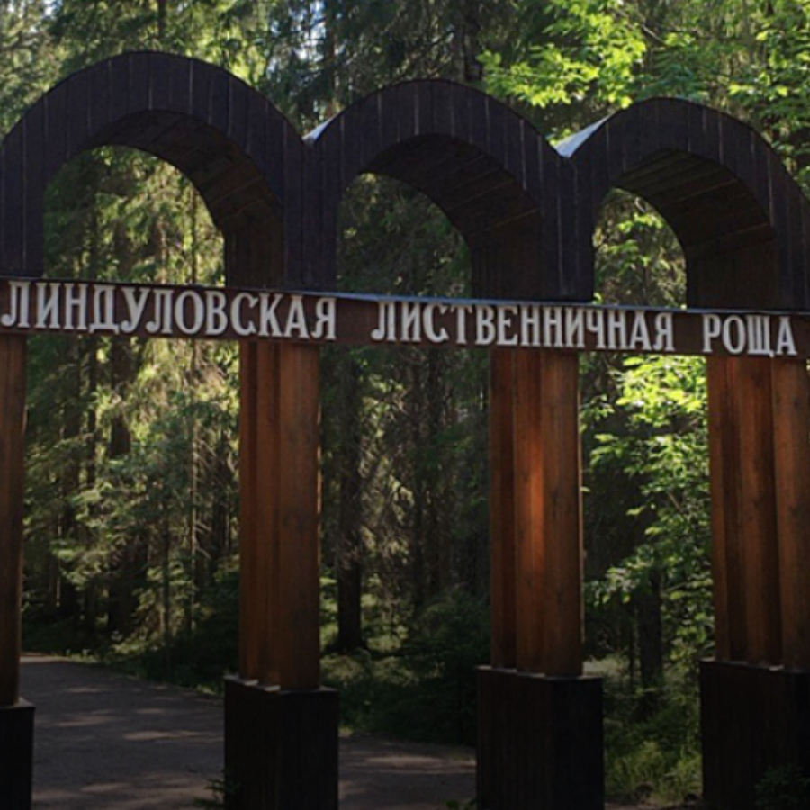 Линдуловская роща – корабельный лес Петра Великого для семьи