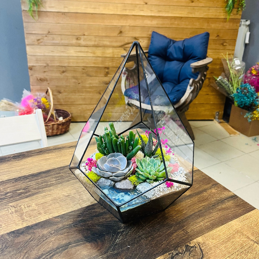 Флорариум с суккулентами Капля М 30 см 