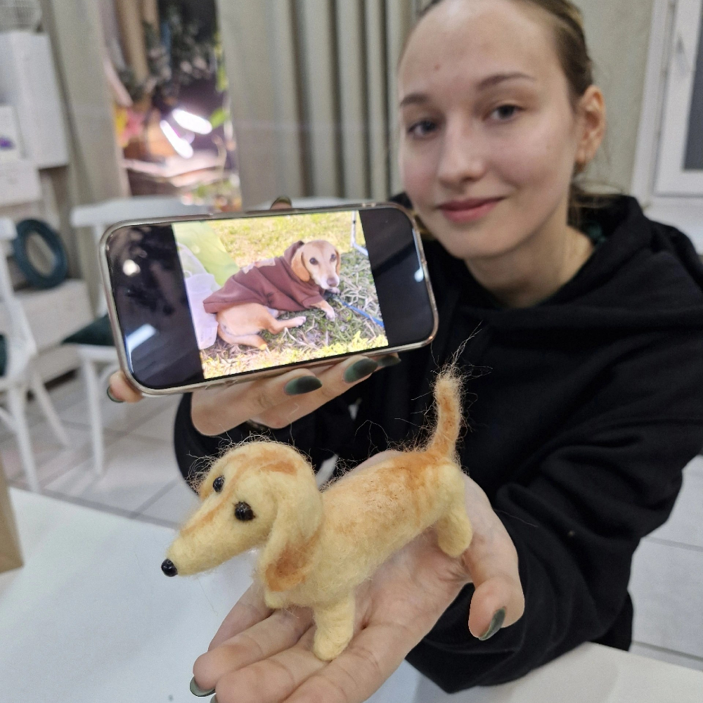 Мастер-класс «Сухое валяние. Игрушка или брелок» для двоих