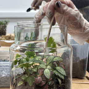 Мастер-класс по созданию закрытой экосистемы для семьи