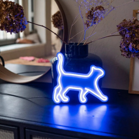 Индивидуальный мастер класс/ свидание пос озданию светильника из гибкого неона