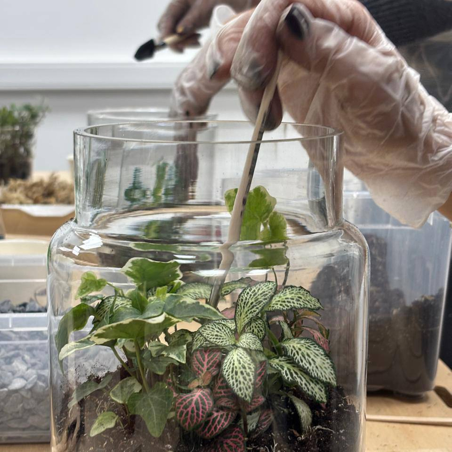 Мастер-класс по созданию закрытой экосистемы для семьи