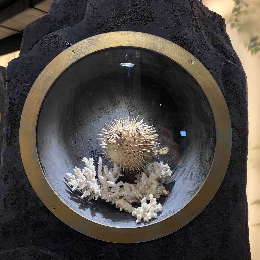 Гипербилет Рекордиум + Музей Магии с экскурсоводом для двоих