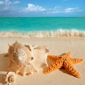 SPA-программа тонизирующая «Сила Океана» для двоих