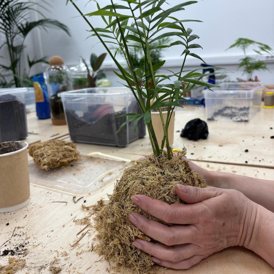 Мастер-класс по созданию кокедамы