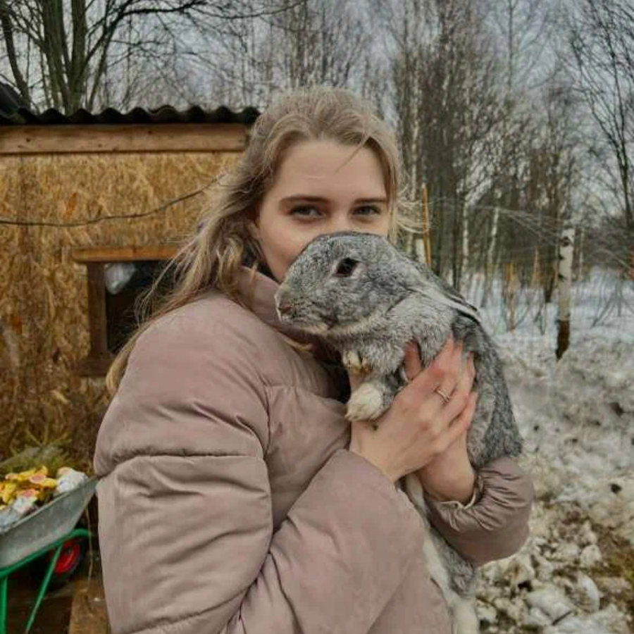 Экскурсия на ферму с оленями для компании