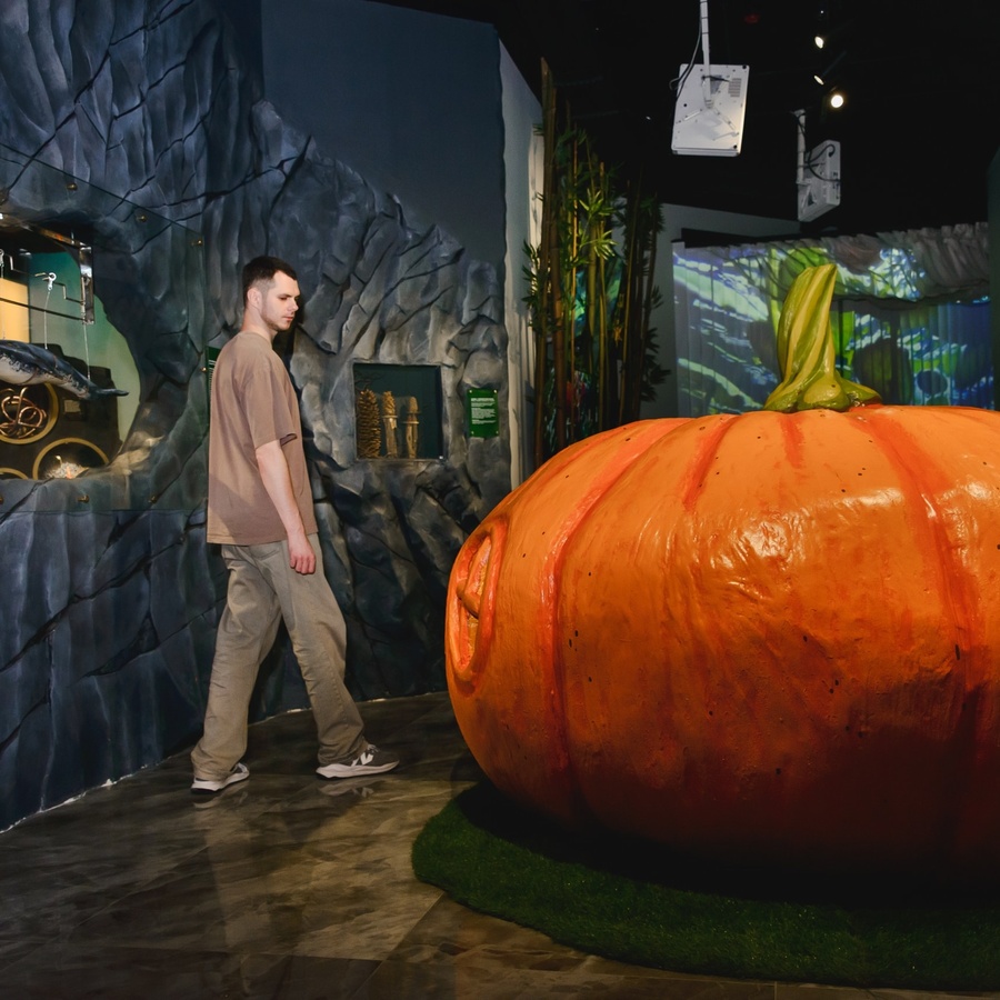 Гипербилет Рекордиум + Музей Магии с экскурсоводом