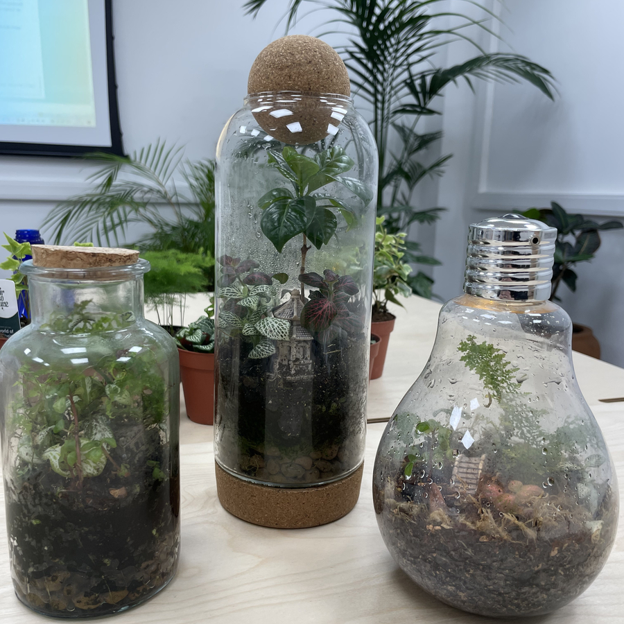 Мастер-класс по созданию закрытой экосистемы