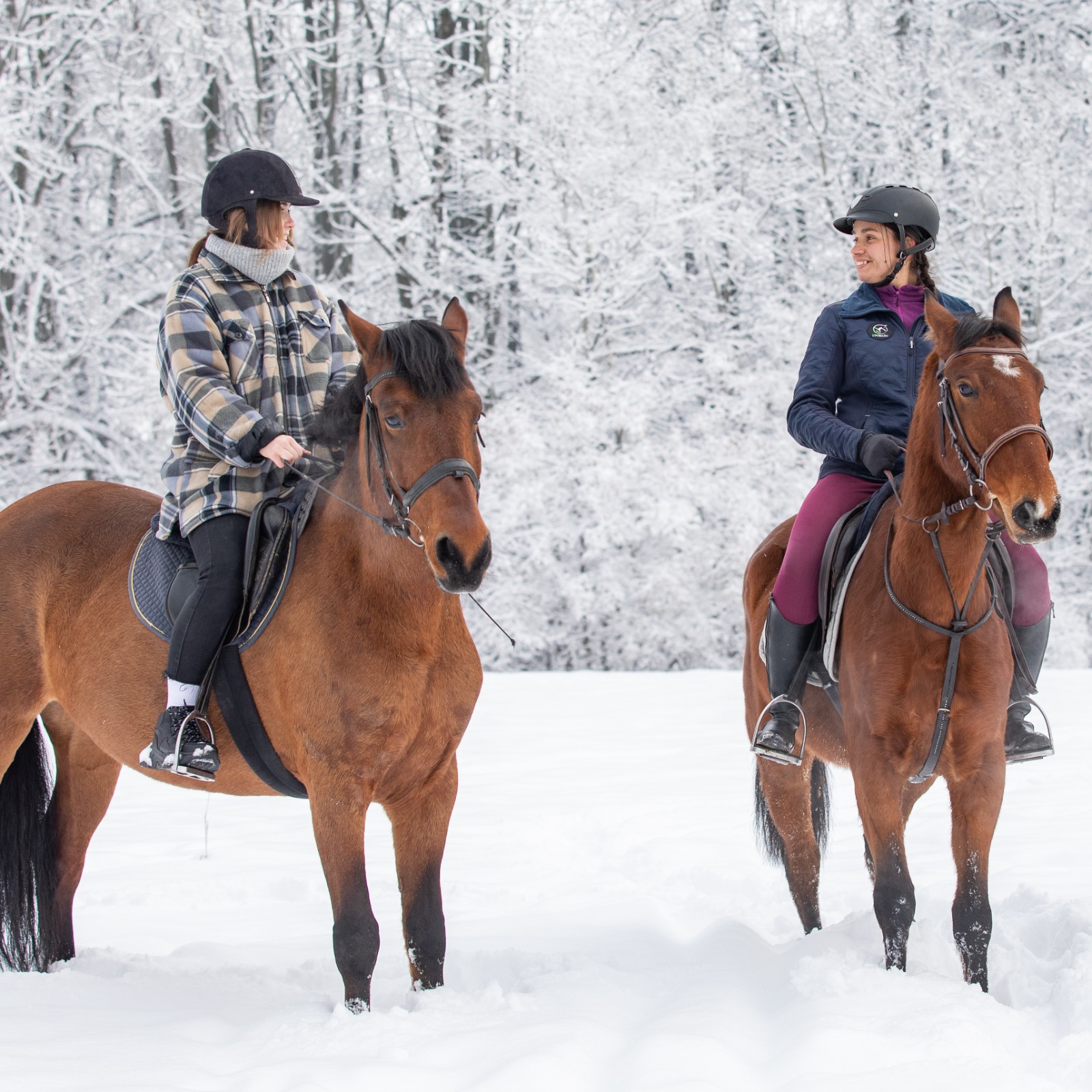 Конная прогулка для компании: поход с привалом