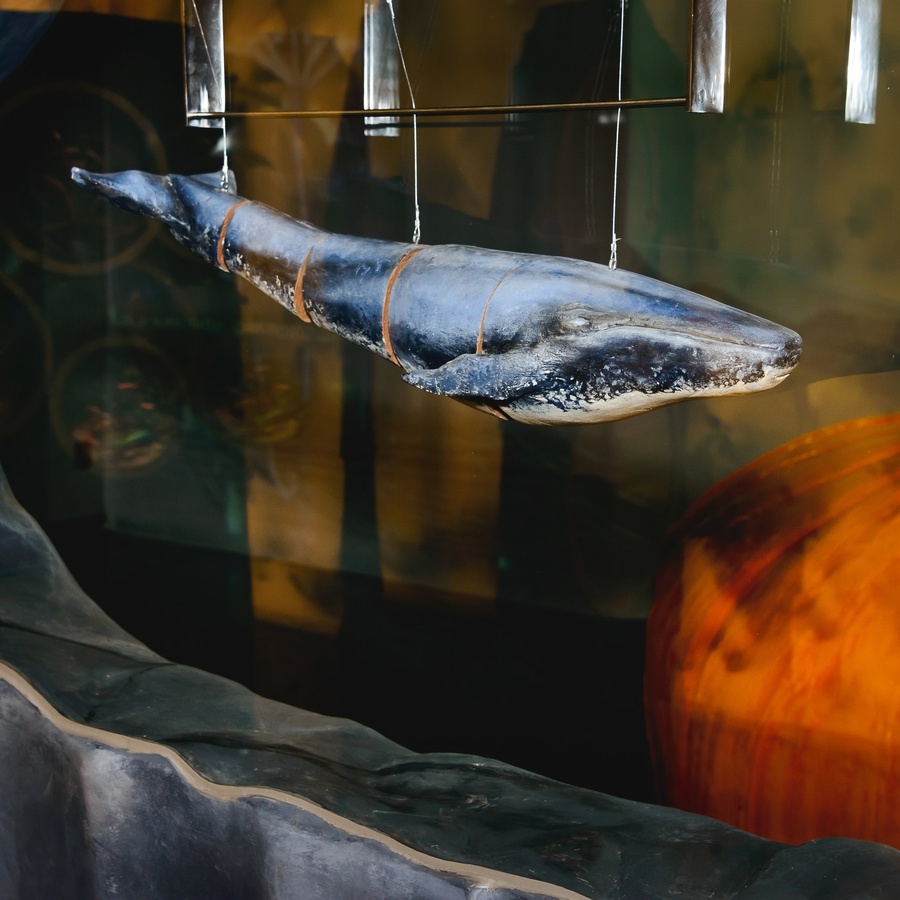 Входной билет на выставку Рекордиум 