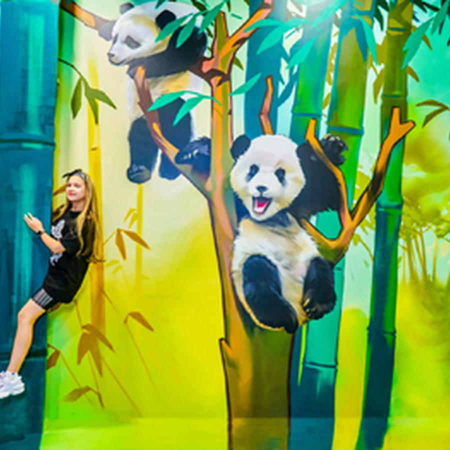 Музей оптических иллюзий  для двоих