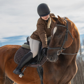 Индивидуальное занятие верховой ездой
