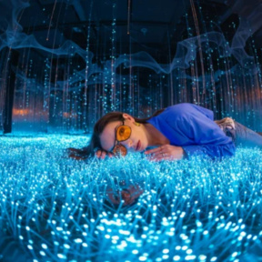 Билет в арт-пространство "Эйфория"