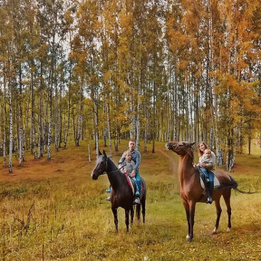 Семейная фотосессия с лошадьми