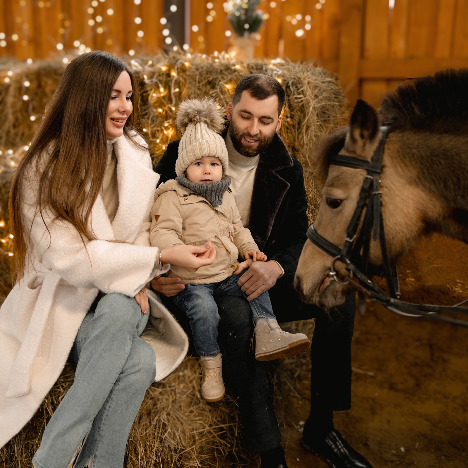 Экскурсия на конюшню для компании