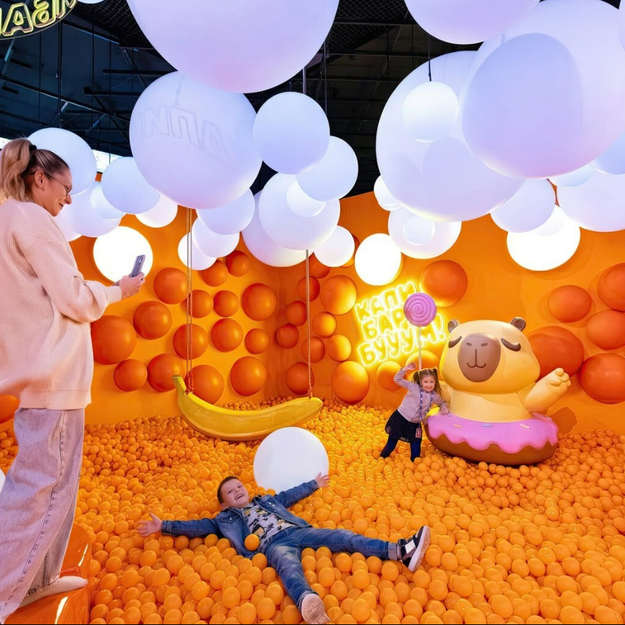 Билет в "Капибарабууум"