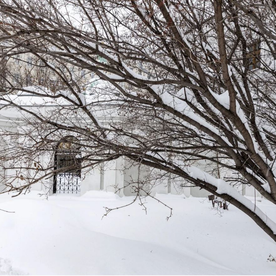 Экскурсия в Дом Пашкова для компании