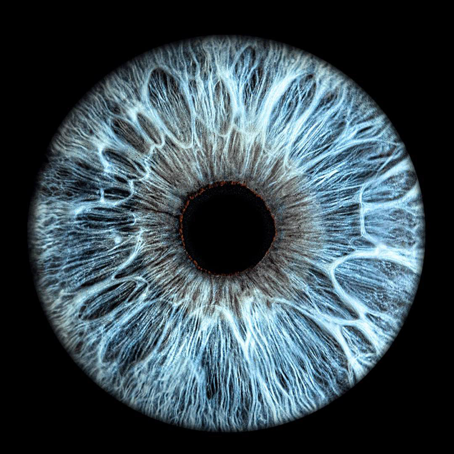 Фото одной радужки для двоих