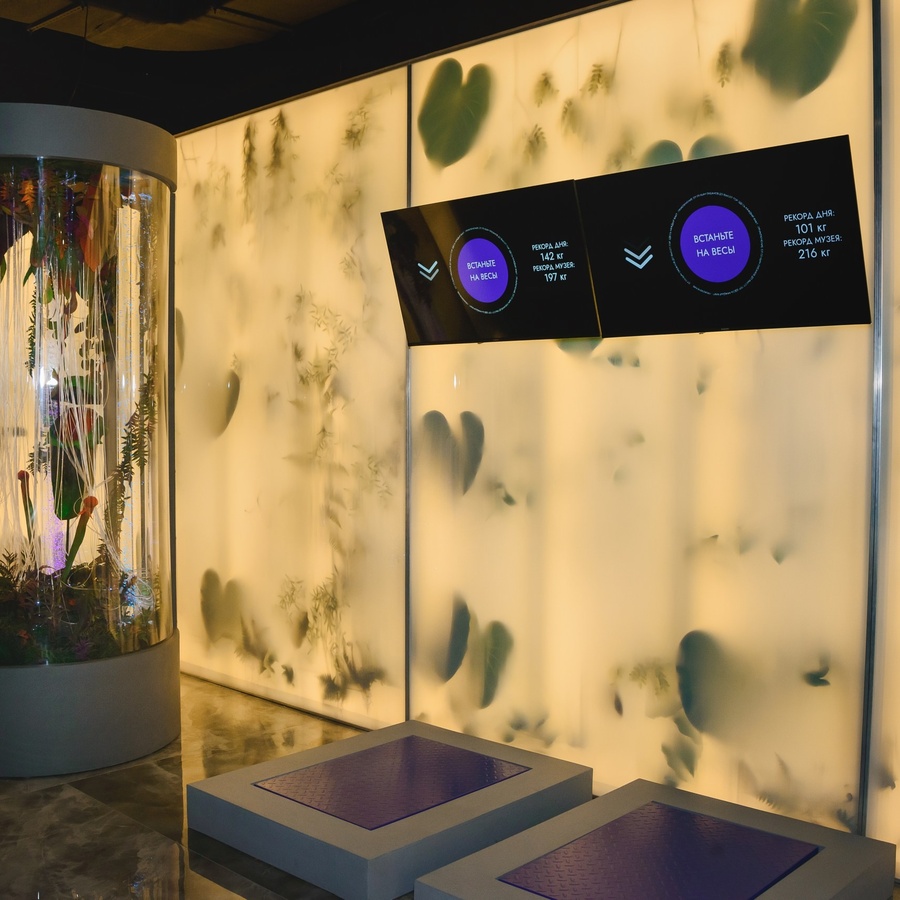 Входной билет на выставку Рекордиум для двоих