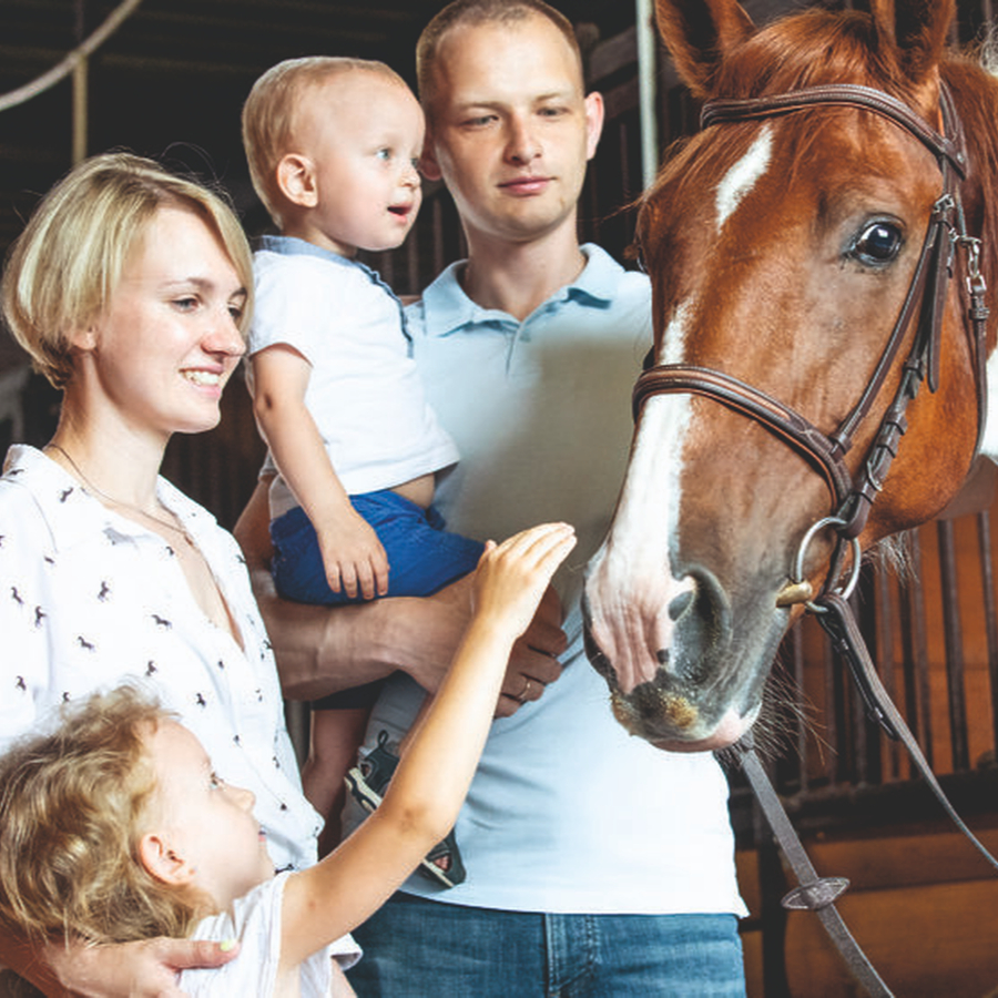Экскурсия на конюшню для семьи