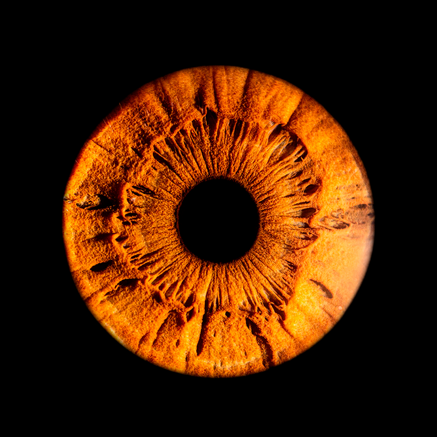 Фото одной радужки для семьи