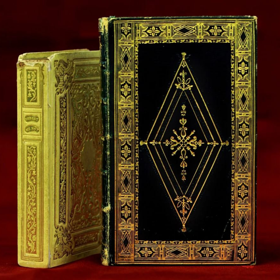 Экскурсия "Тайны книжного шкафа" для двоих