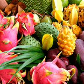 PREMIUM SPA-программа релаксирующая «Ягоды Эдема» для двоих