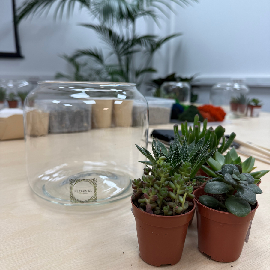 Мастер-класс по созданию флорариума