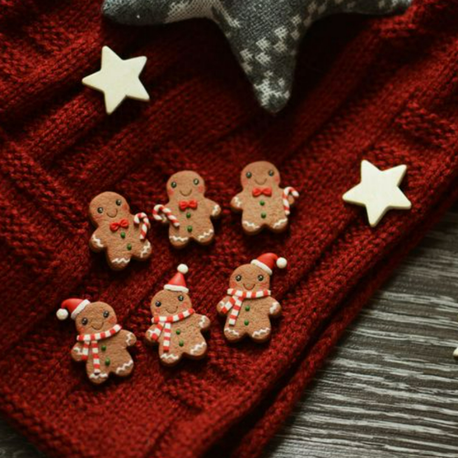 Индивидуальный мастер класс/ свидание по созданию броши из полимерной глины