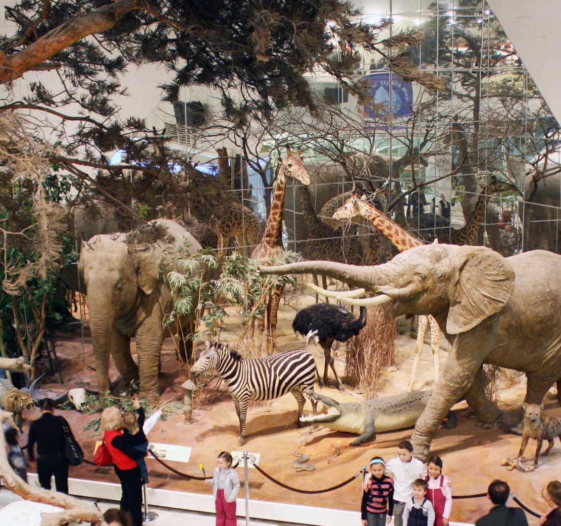 Государственный Дарвиновский музей для семьи