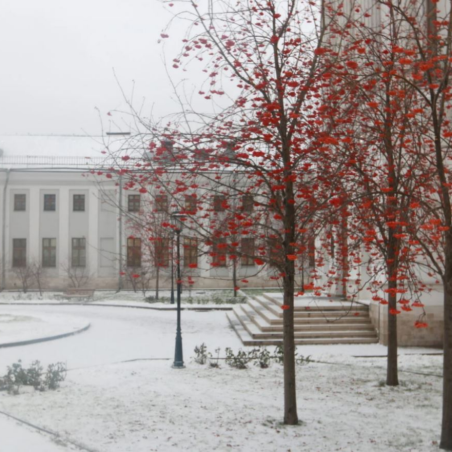 Экскурсия в Дом Пашкова