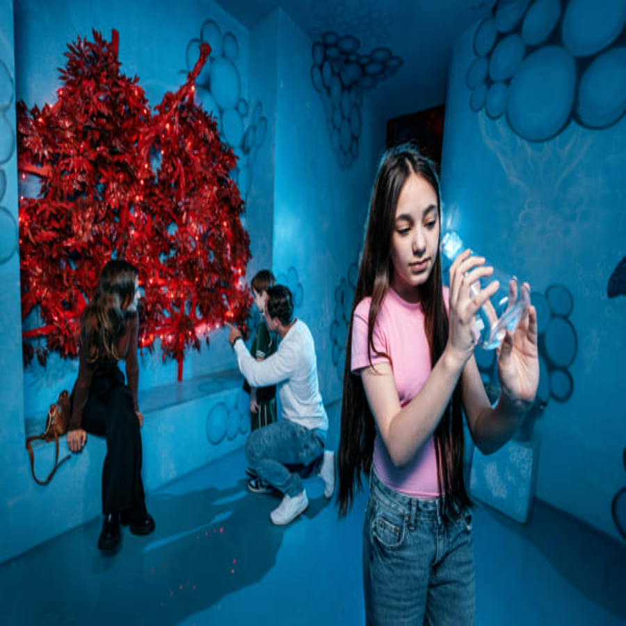 Парк развлечений