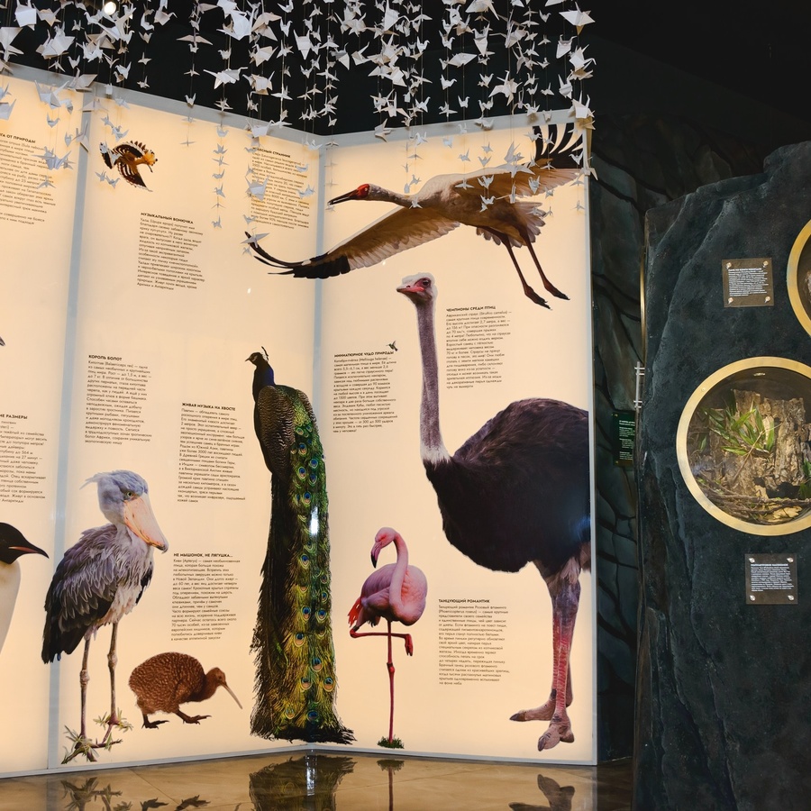 Входной билет на выставку Рекордиум для компании