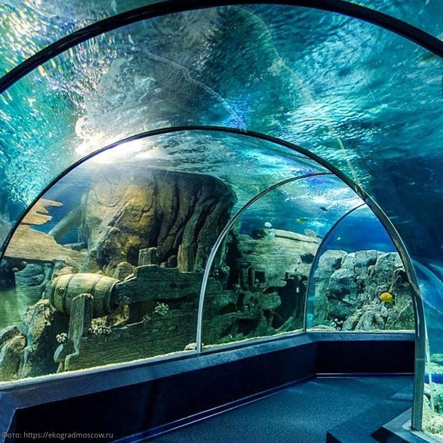 Океанариум для компании