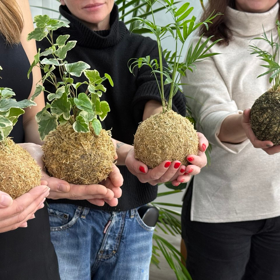 Мастер-класс по созданию кокедамы для двоих